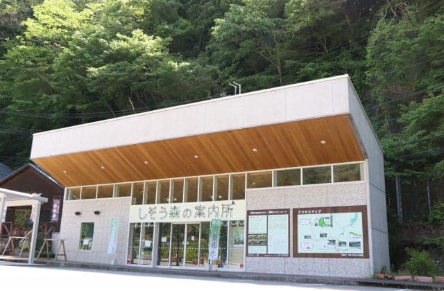 The Information Center of the Forest