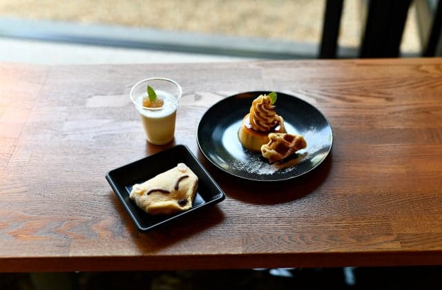 The footsteps of the fox