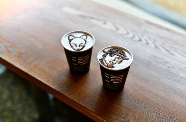 The footsteps of the fox