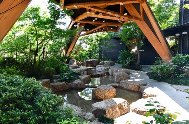 The footsteps of the fox