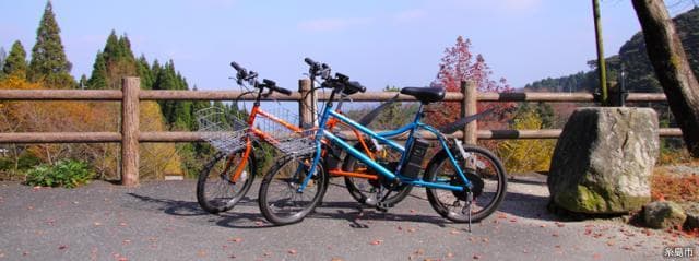 Electric assist bicycle