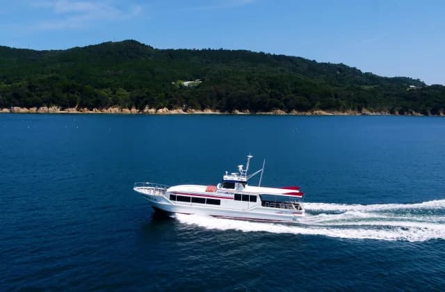 Liner