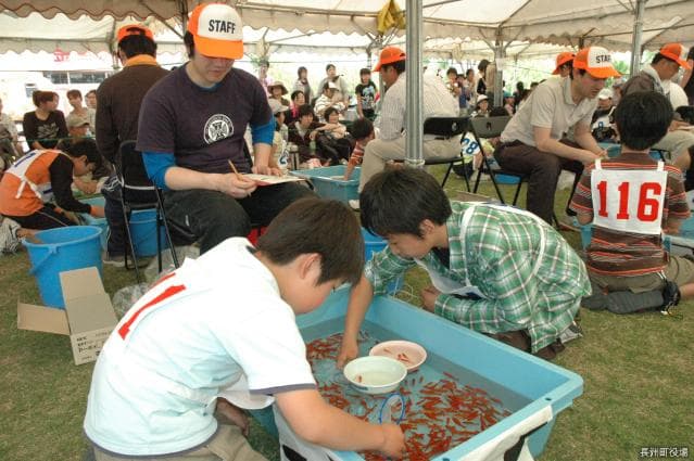Kyushu Goldfish Scooping Championship