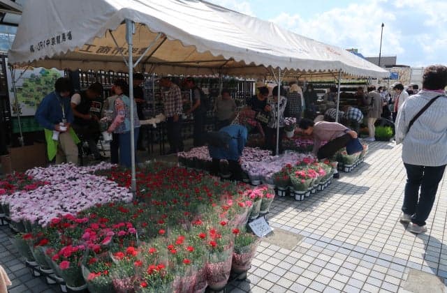 花苗の販売の様子