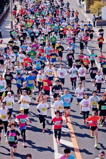 Jogging Festival in Saza