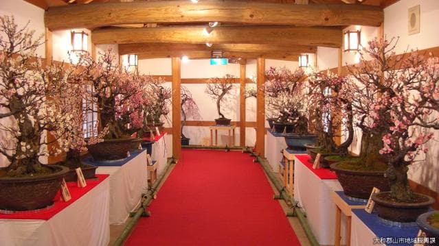 Tamon-yagura uchi