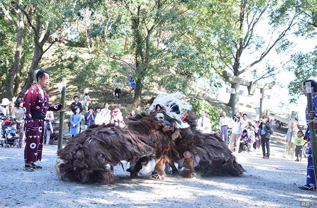 山田区の荒獅子