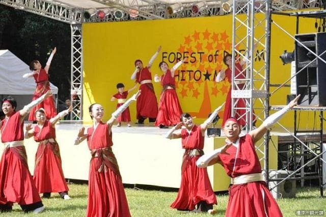 Dream Forest Festival