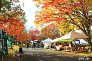 Yatsugatake Craft City / Autumn