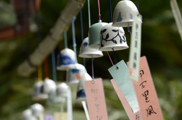 Kiln Furin City of Nabeshima Domain