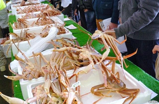 Hamasaka Minato Crab Festival