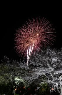 もとみや春花火