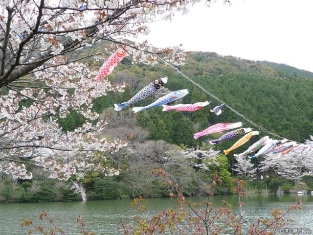 滝頭桜まつり