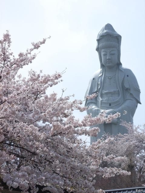Takasaki Spring Festival (Kannonyama venue)