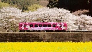 Nishikigawa Seiryu Line 3