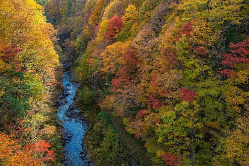Autumn leaves in Urabandai Kogen (Nakatsugawa Valley)