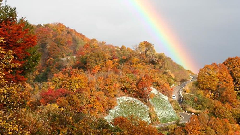 魚沼スカイラインの紅葉