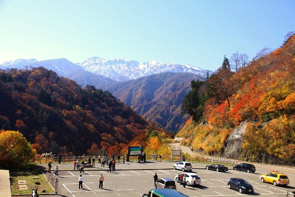 Autumn leaves on Hakusan Shirakawa-go White Road (Tsuga no Kidai parking lot: around 1,400m above sea level)