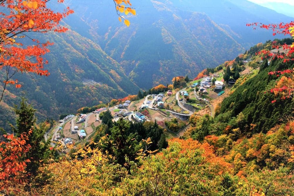 Autumn leaves in Shirabiso Kogen and Shimoguri no Sato