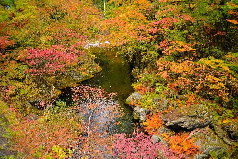 久慈渓流の紅葉