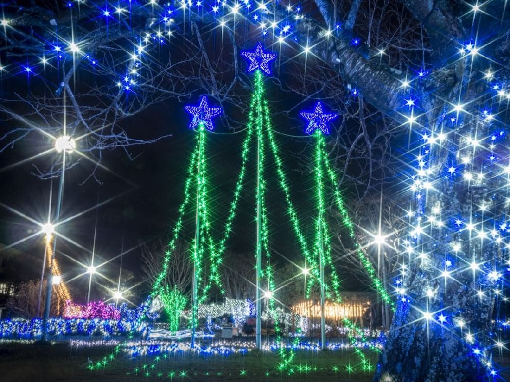 第23回スターライト☆ファンタジー2023