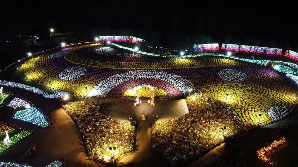 ウインターイルミネーション2024-2025