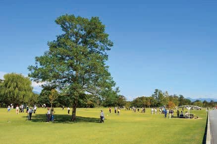 Sunflower Ground Golf Course