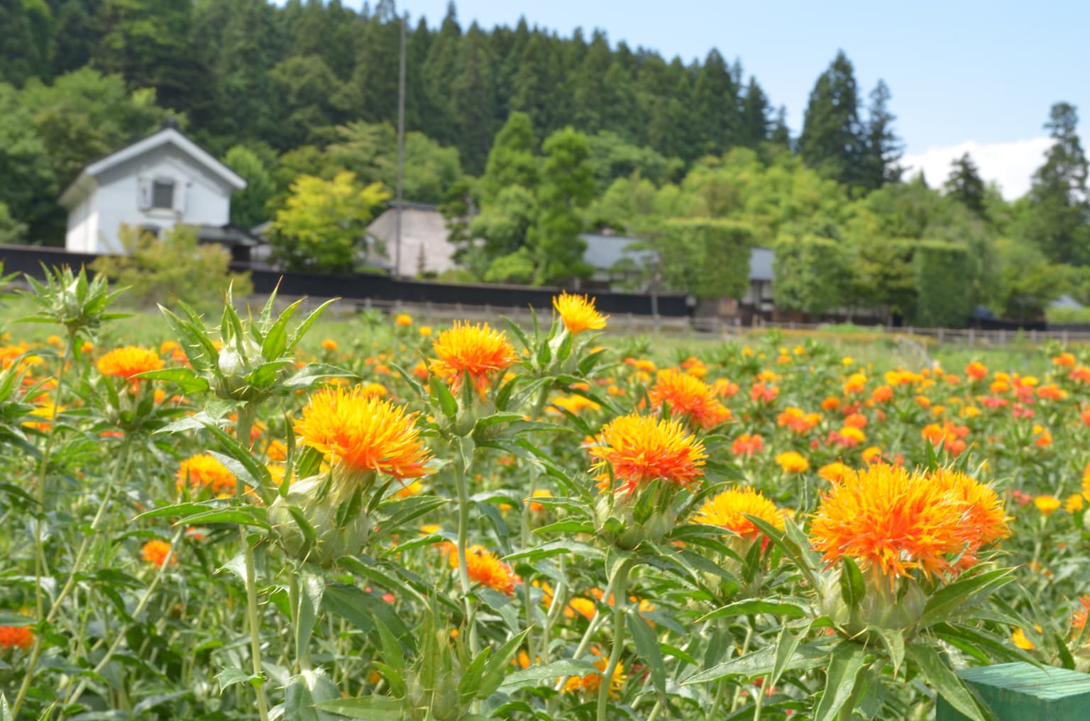 Former Kashiwakura Family Residence (Kuzaemon)