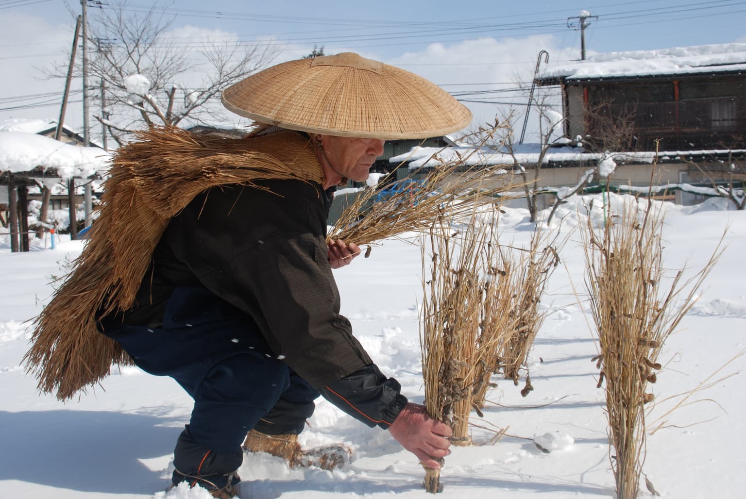Koshio o Fukuda rice planting dance