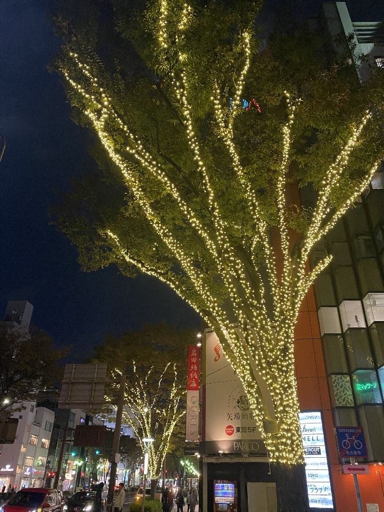 Sakae Minami Osu Winter Illumination