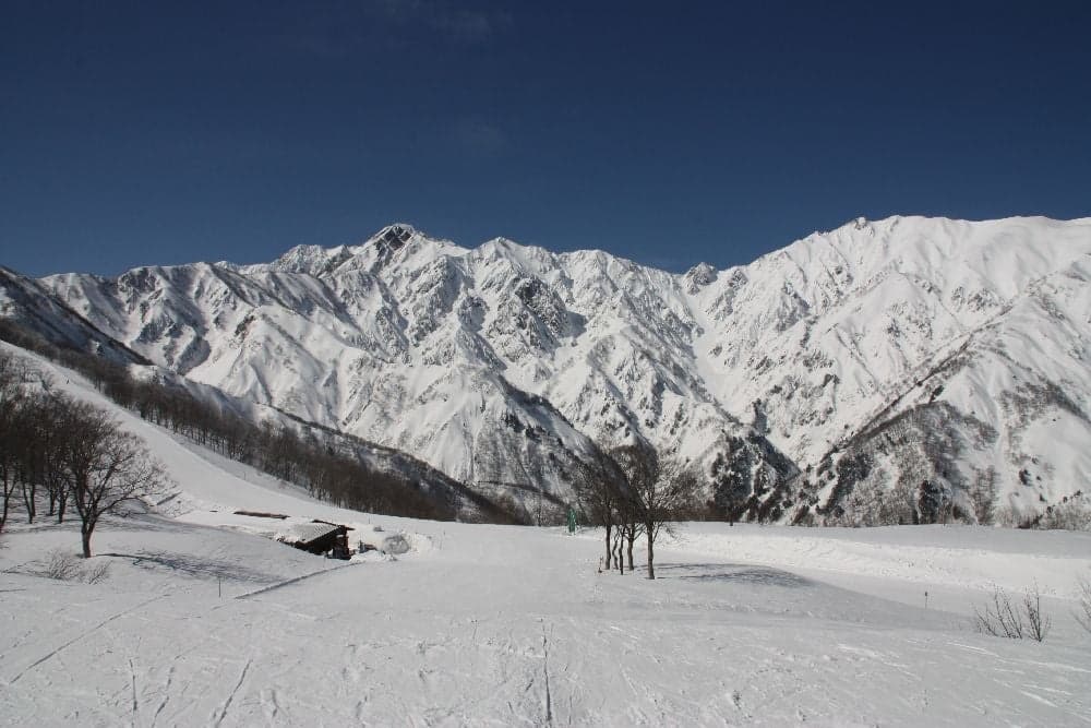 Hakuba 47 Winter Sports Park