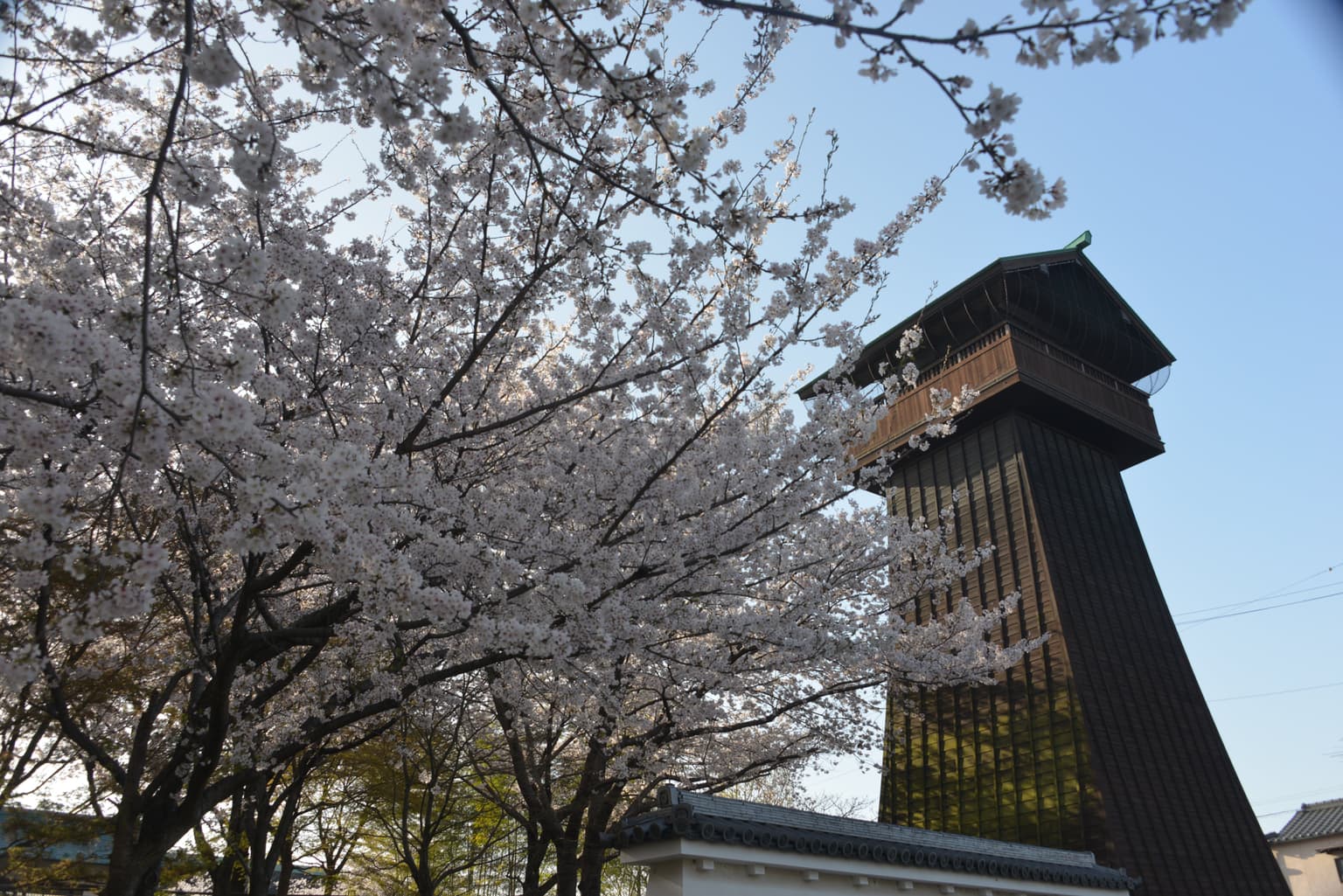 Koguchi Castle Ruins Park