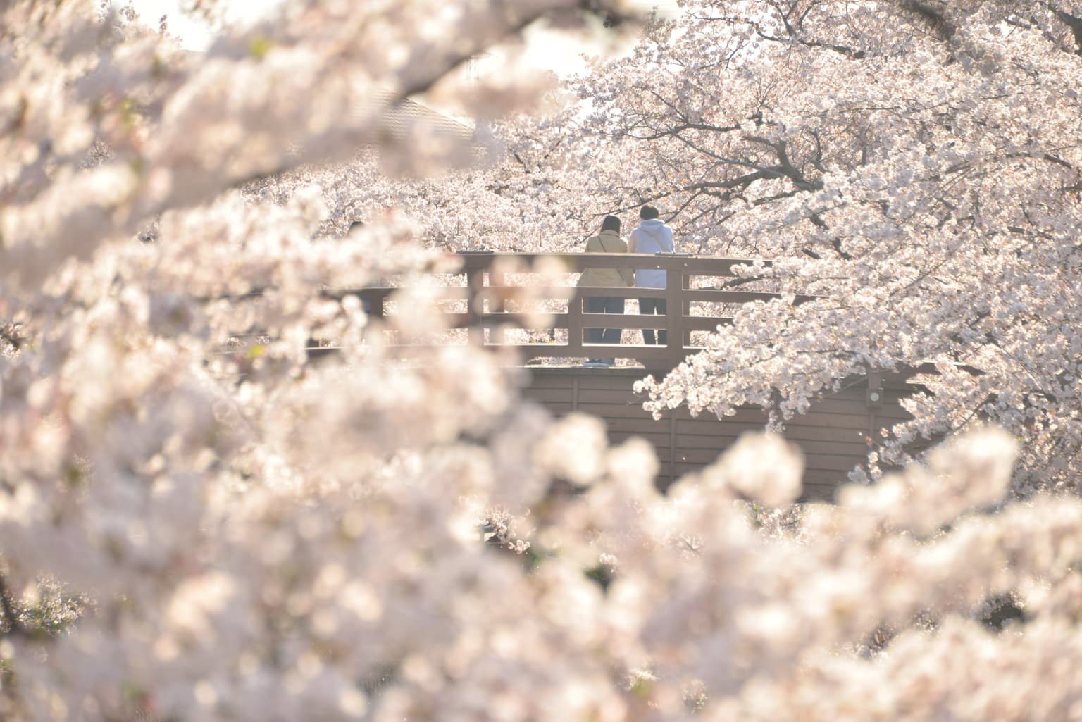Cutting Bridge (Horioseki Park)