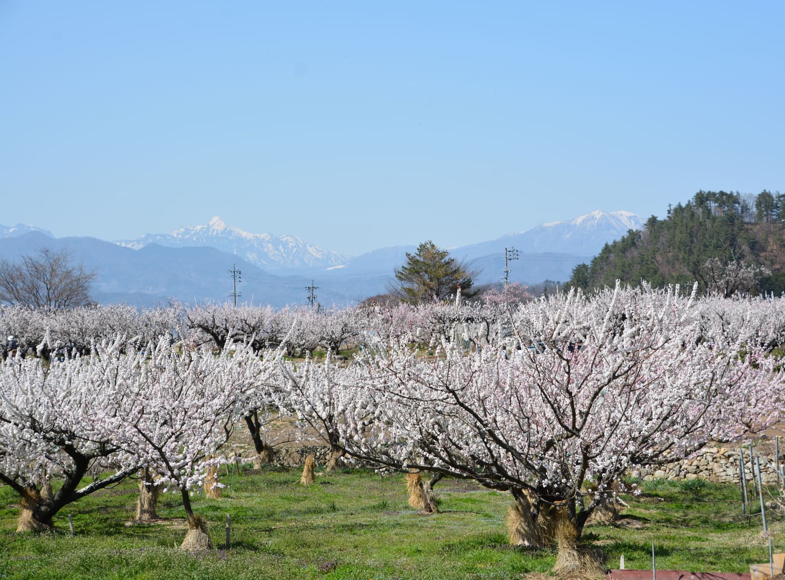 Anzu no Sato, Chikuma City
