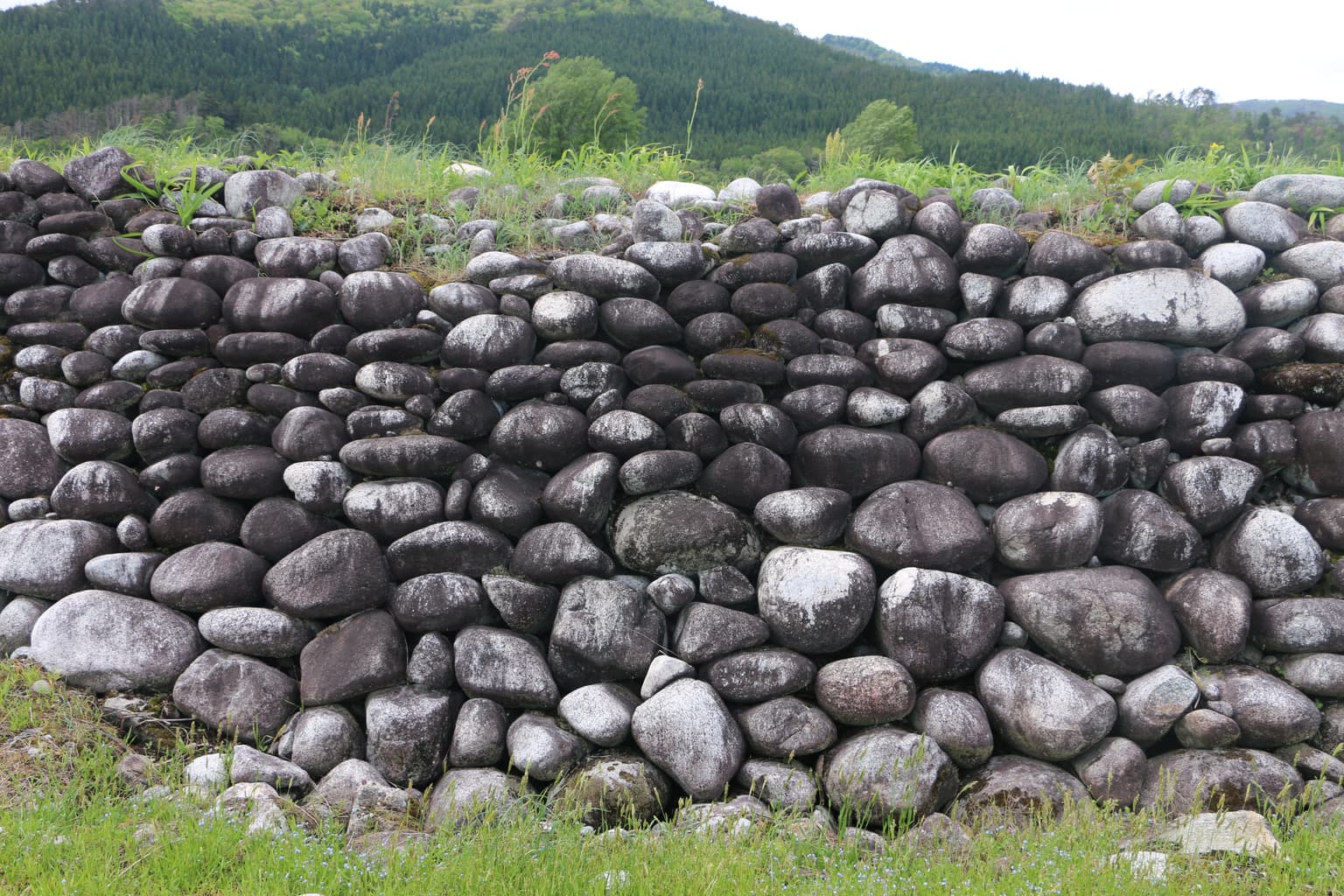 Deadline Remains of Hirayama