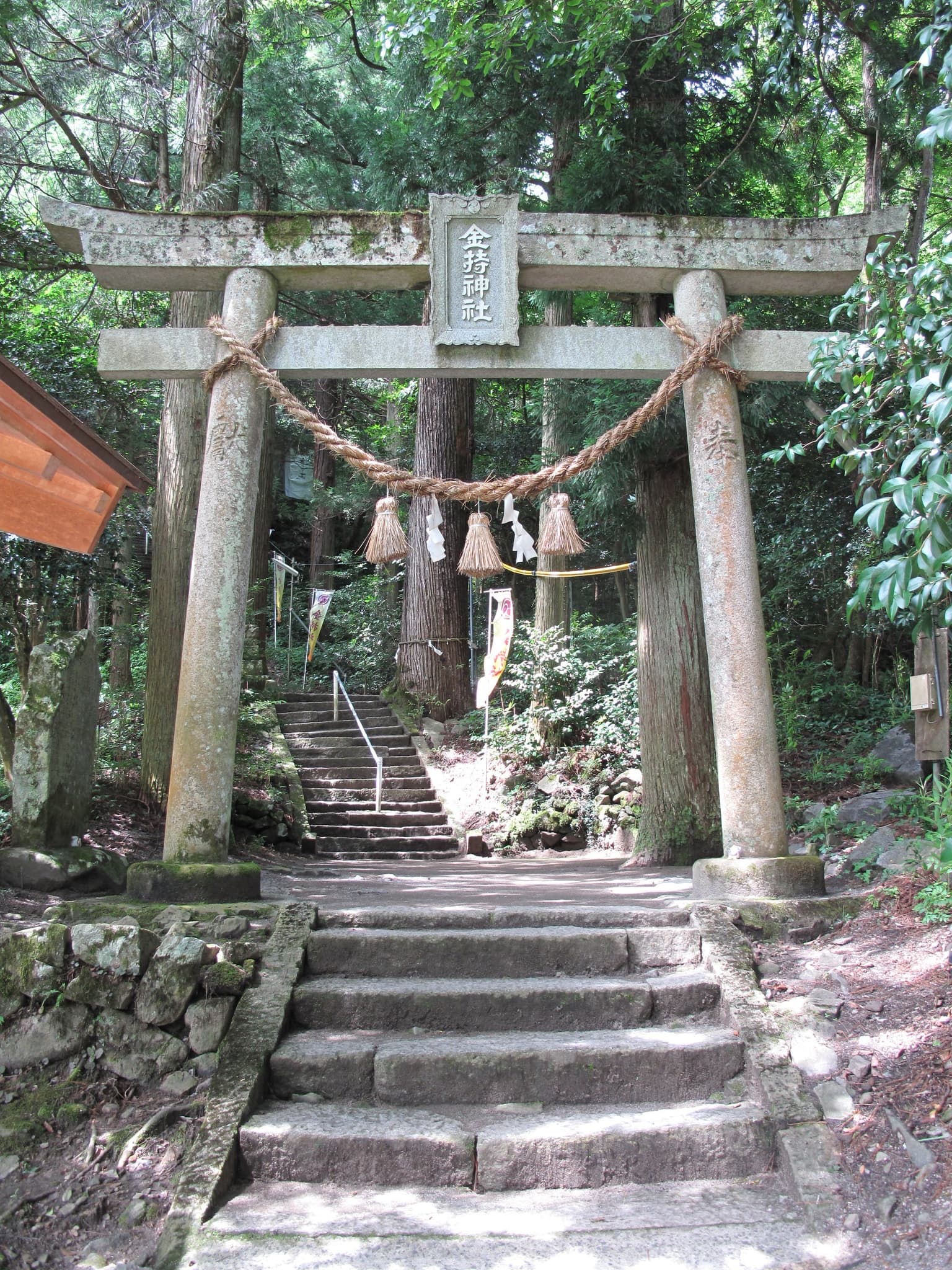 Torii
