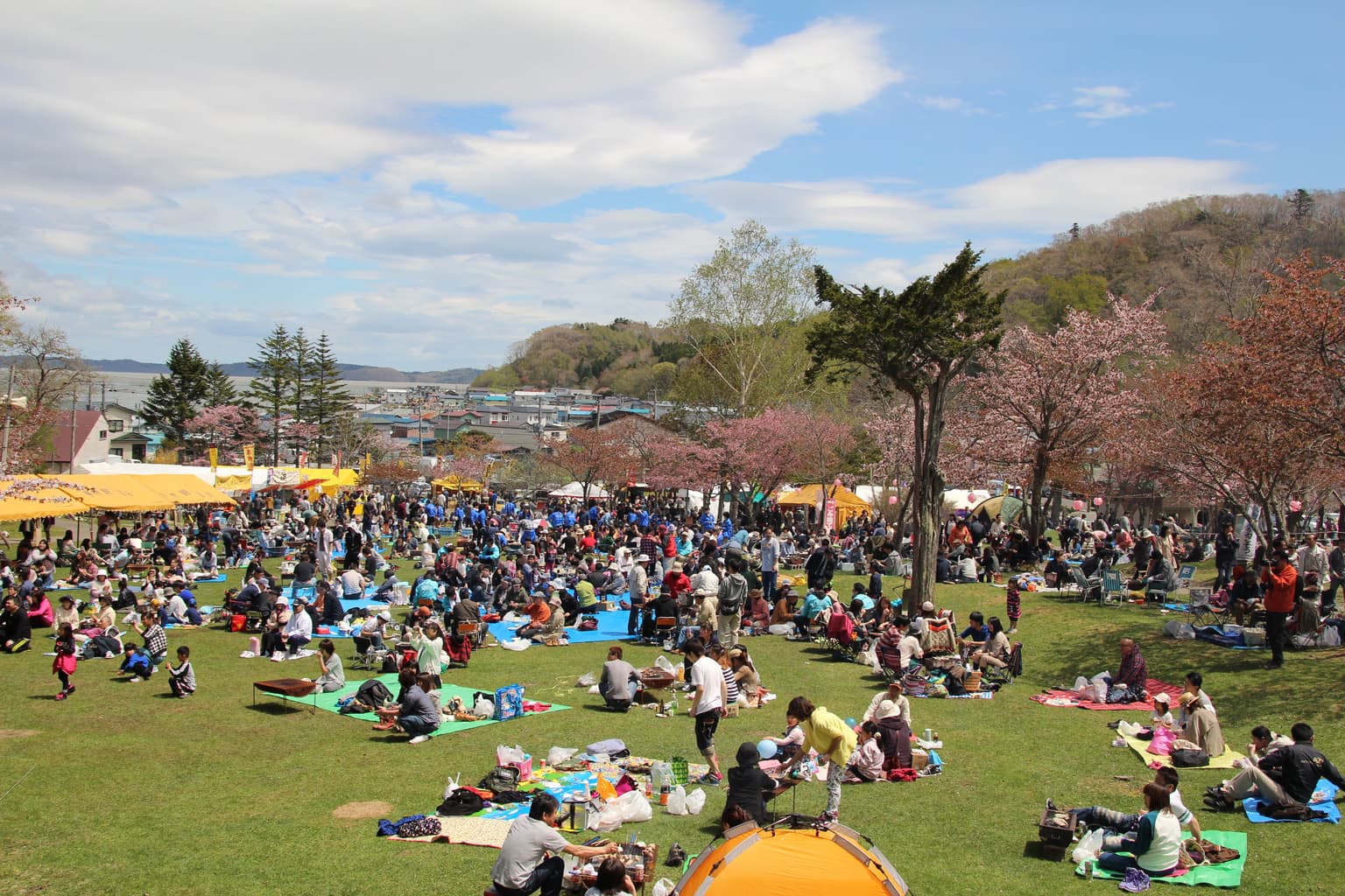 あっけし桜・牡蠣まつり