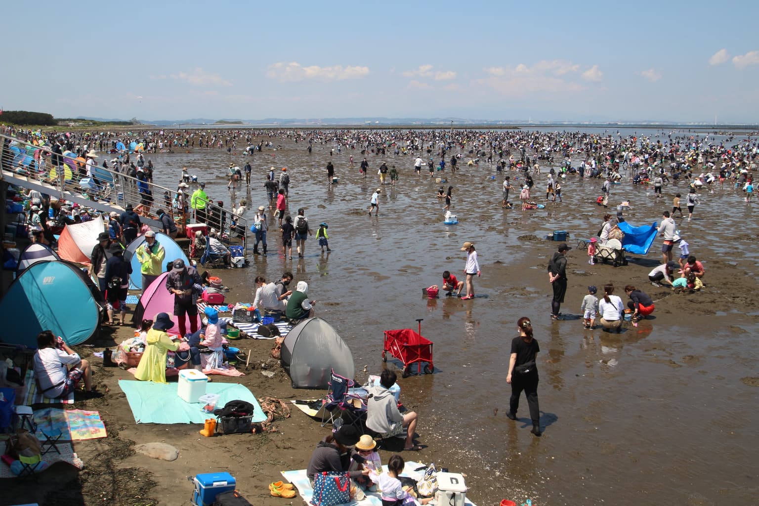 Futtsu Beach clamming