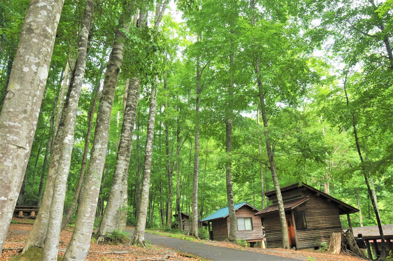 Hachito Furusato no Mori