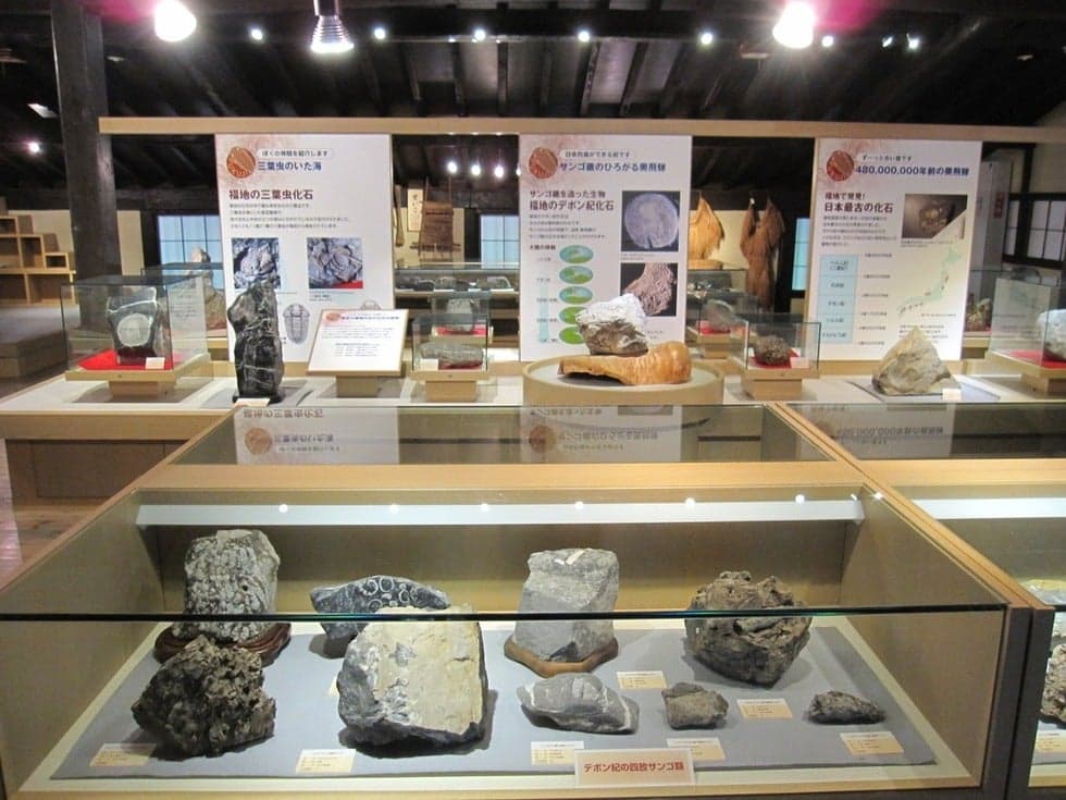 Fukuchi Fossil Museum