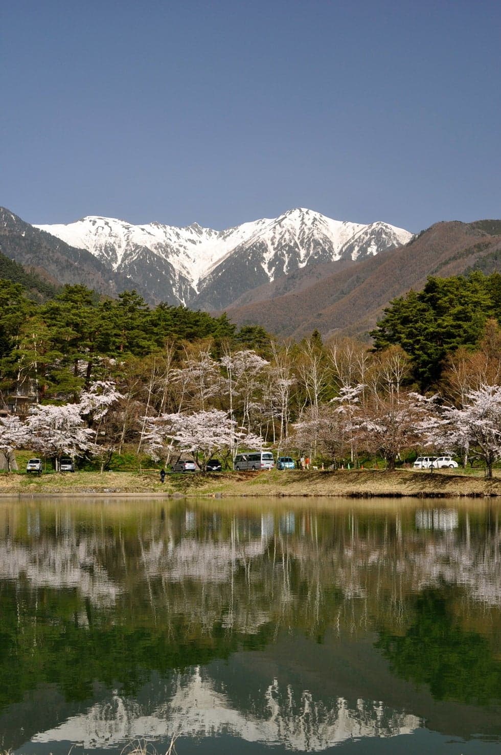 View the Central Alps from the lakeside