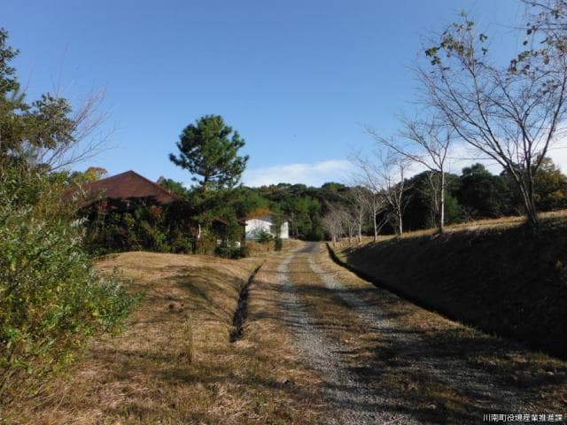 散策にも最適