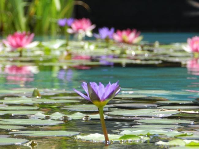 Image 7 of the Otsuka Museum of Art