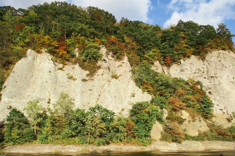 Autumn leaves in Monami Park