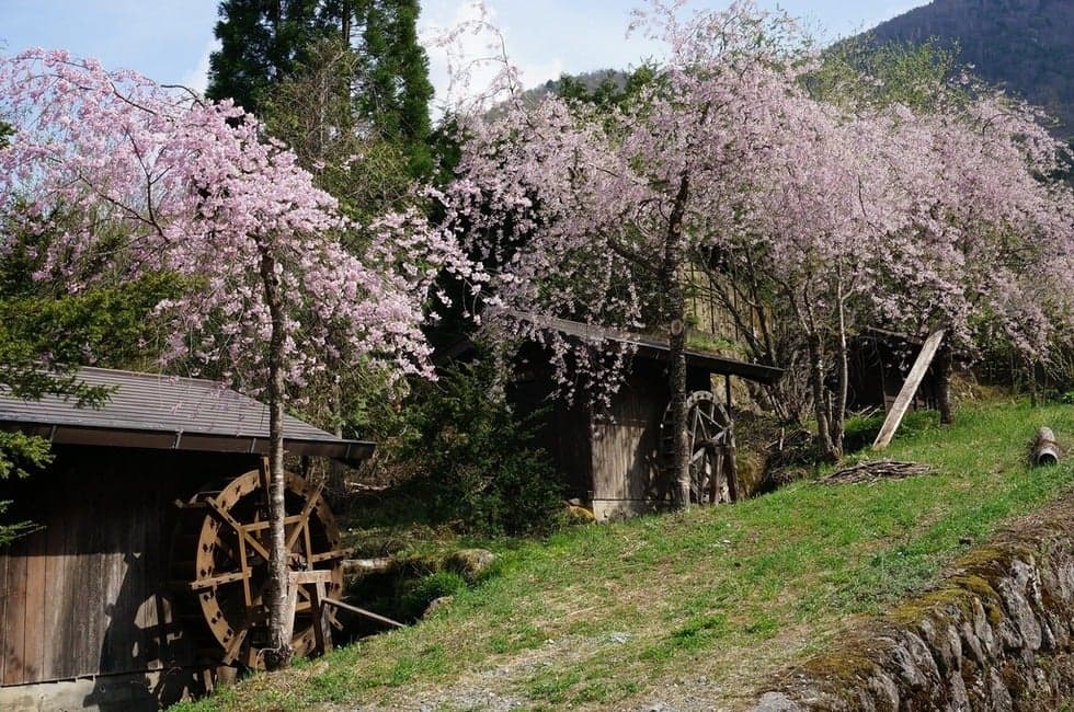 Old-fashioned village