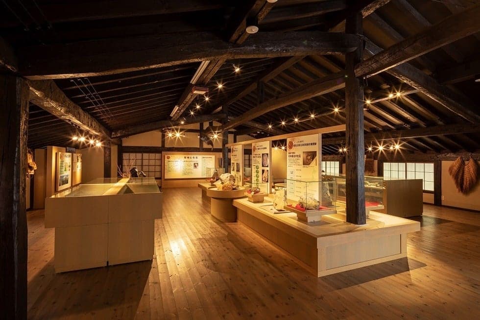 Fukuchi Fossil Museum