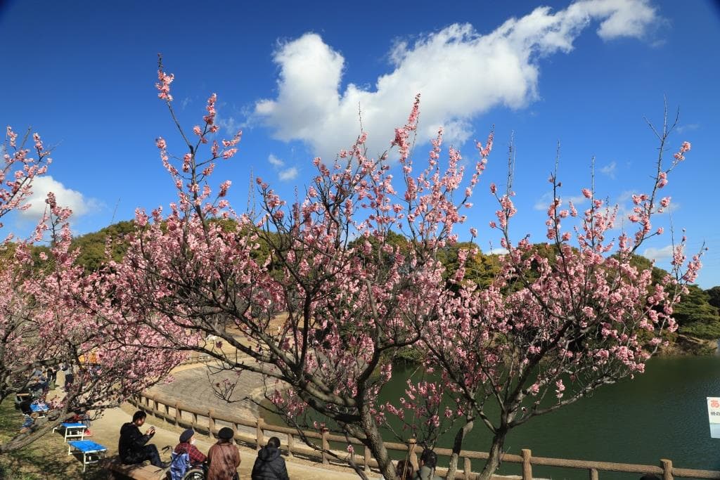 Saburi Pond and Bairin