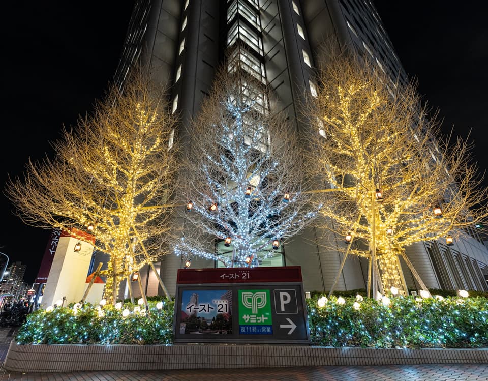 Tokyo East 21 Winter Illumination