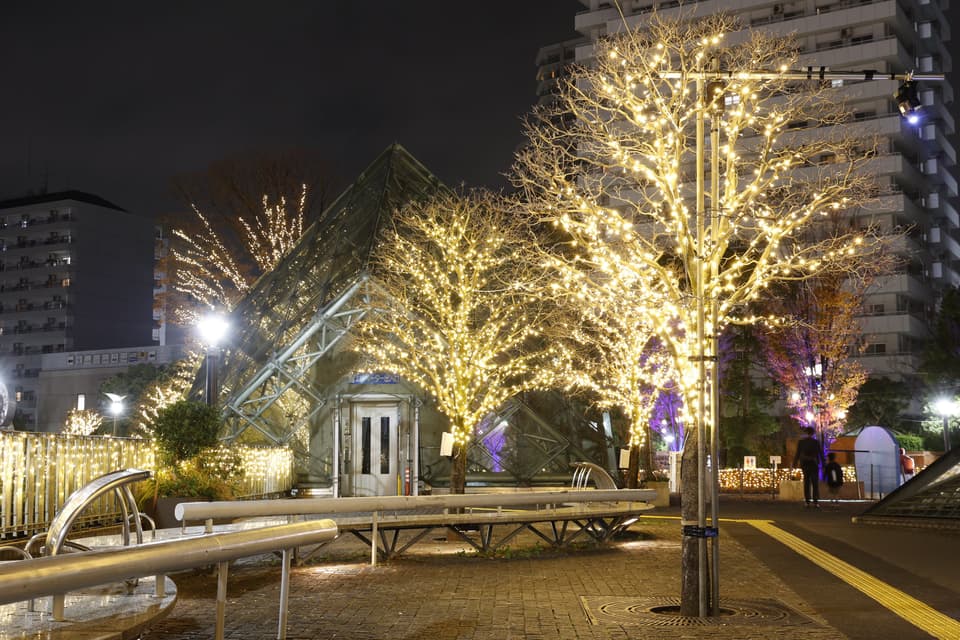 Fantasy of Kawaguchi Light 2024