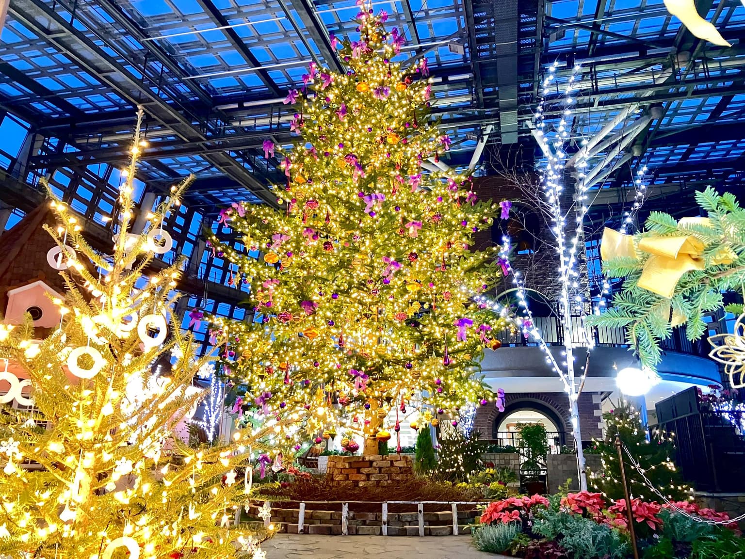 Winter Festival Illumination